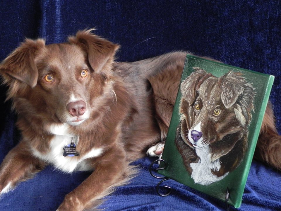 Border Collie next to portrait