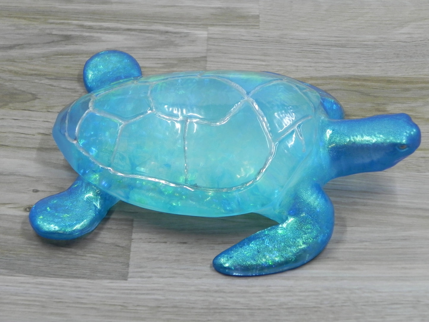 Sea Turtle