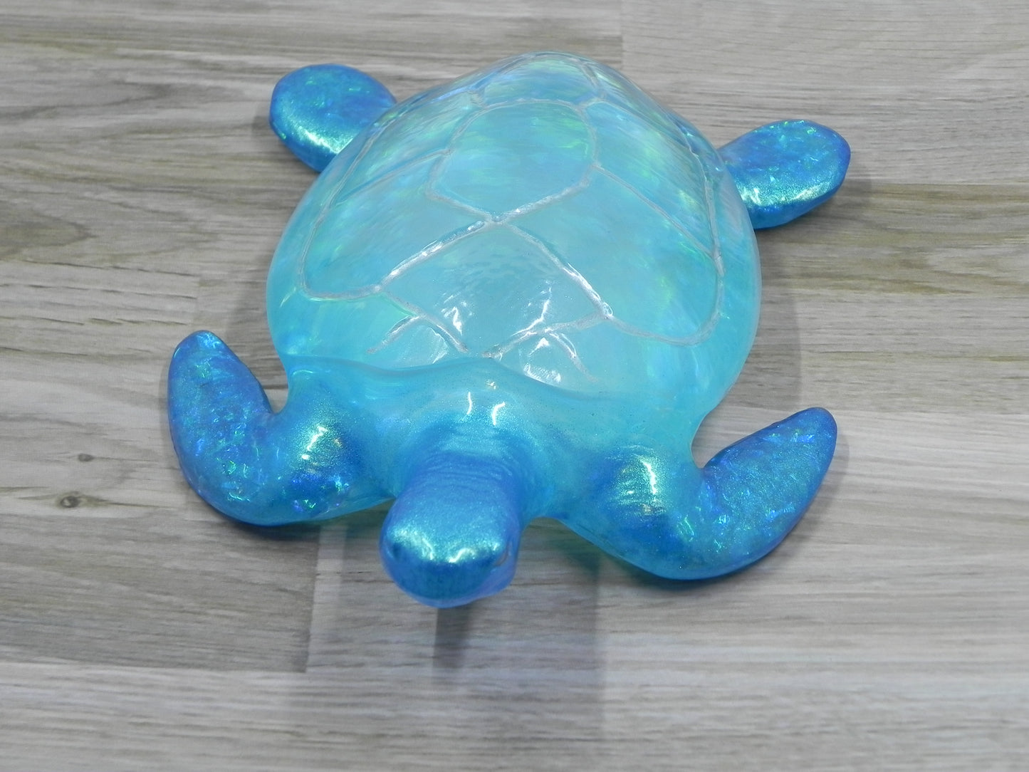 Sea Turtle