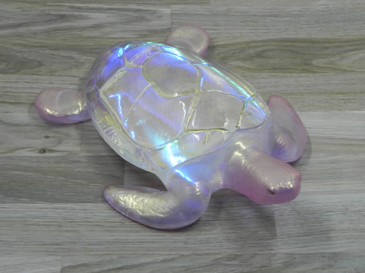 Sea Turtle