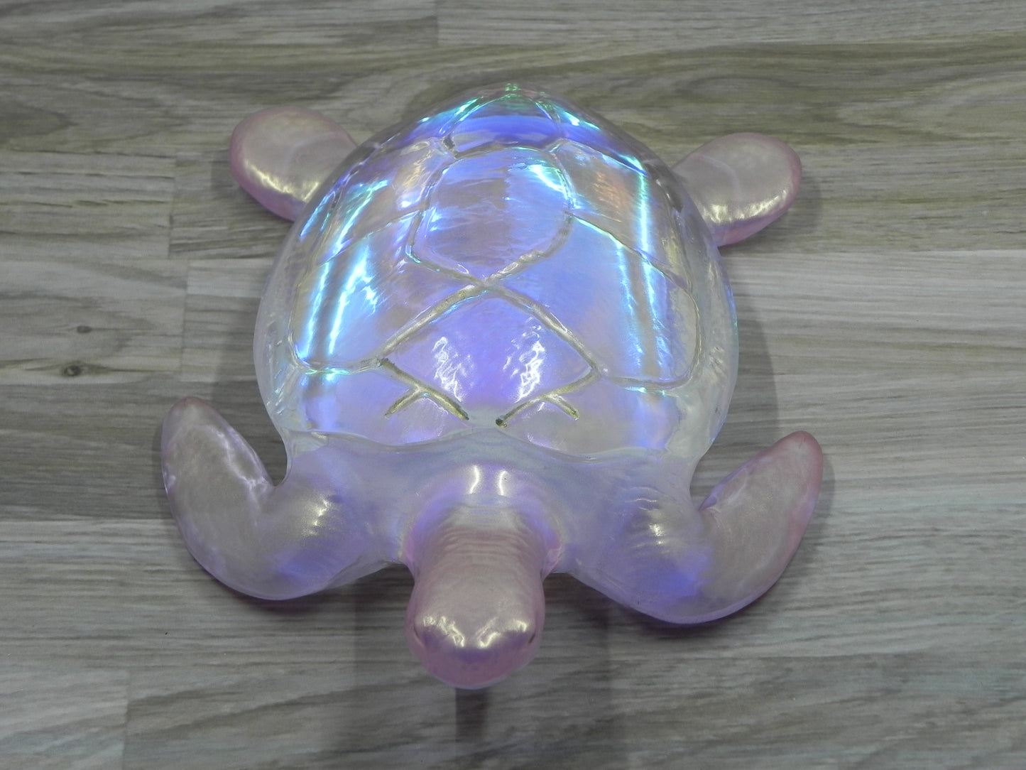 Sea Turtle
