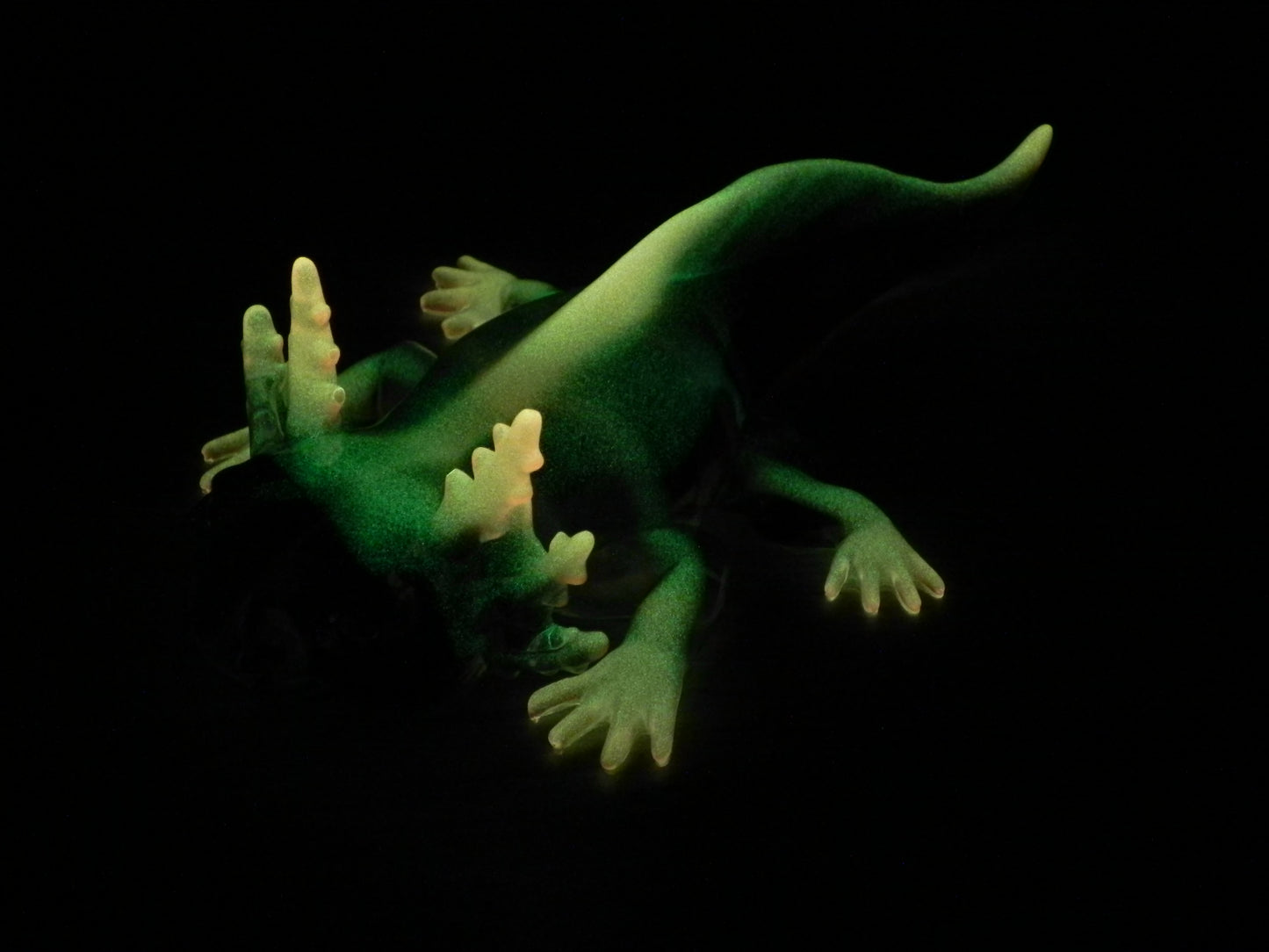 Axolotl Glow Tip Orange