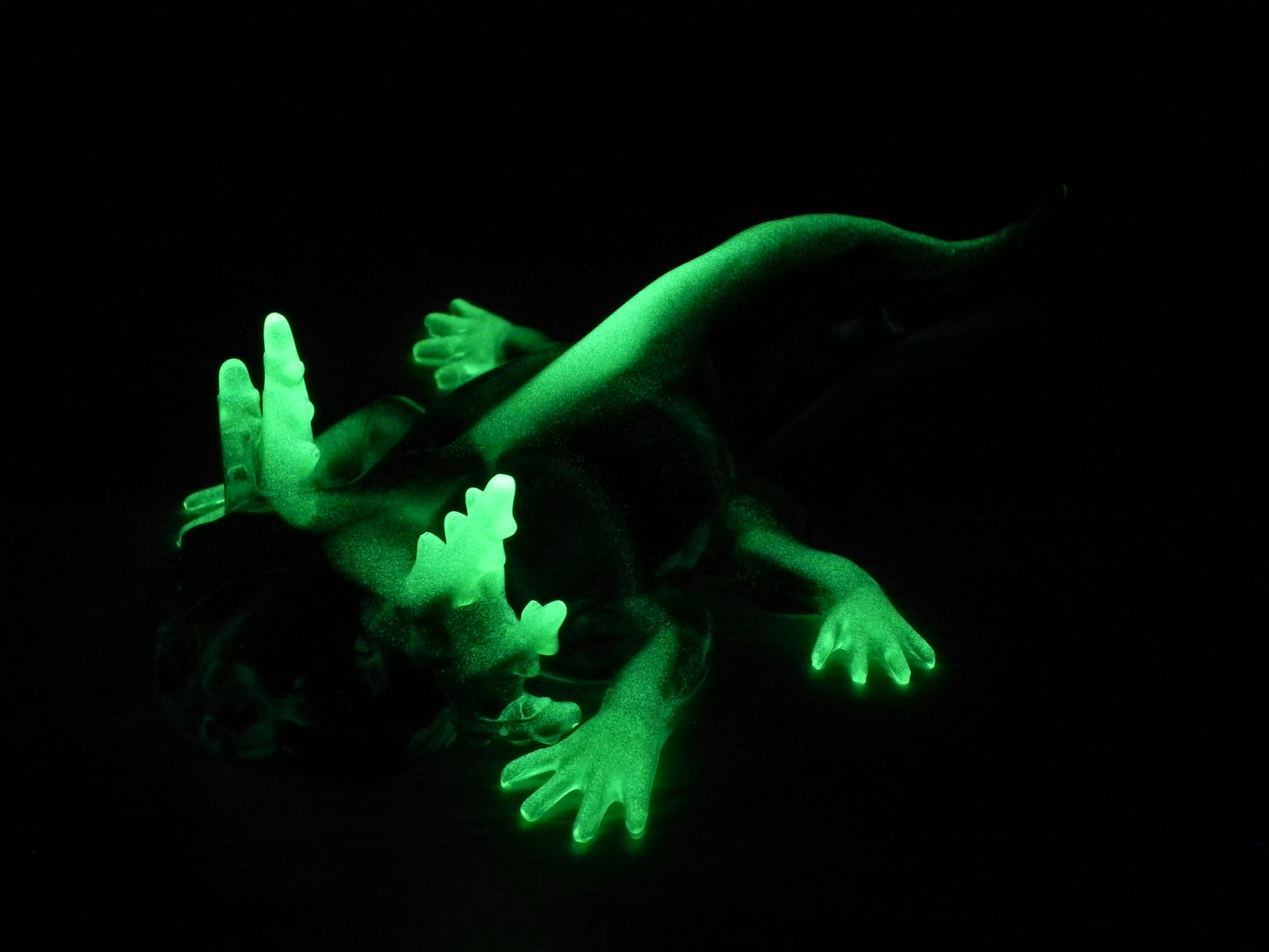 Axolotl Glow Tip Green