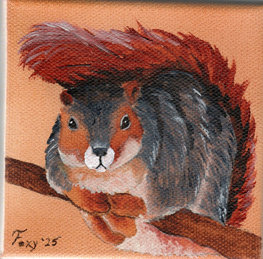 "Fox Squirrel" mini acrylic painting