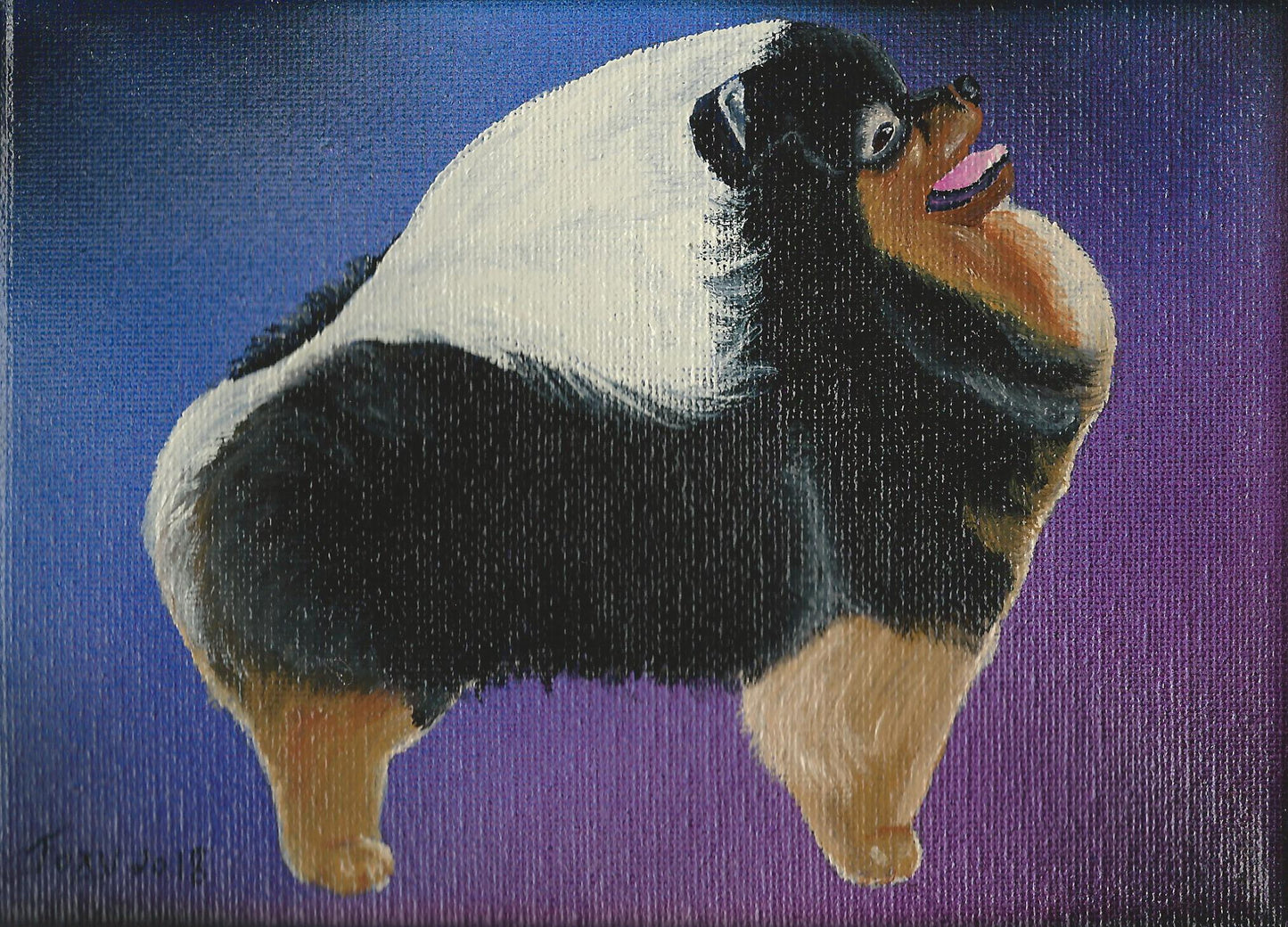Custom 5x7 Portrait--Single Pet
