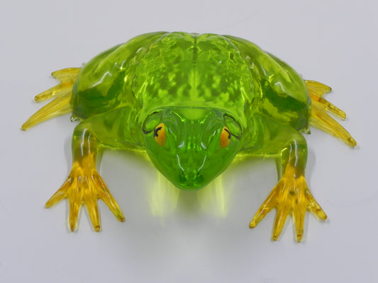 Frog Large sized