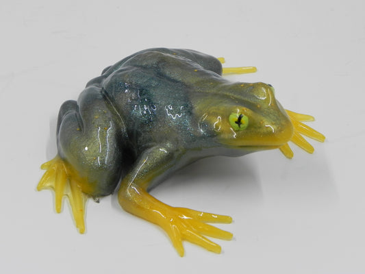 Frog Large sized