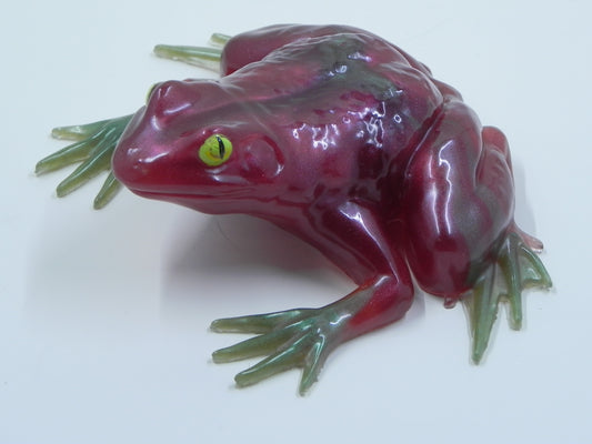 Frog Large sized