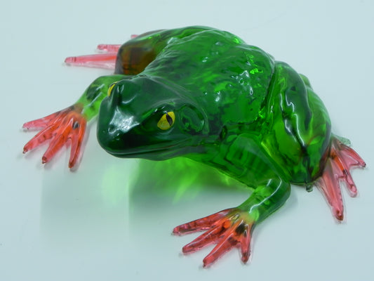 Frog Large sized