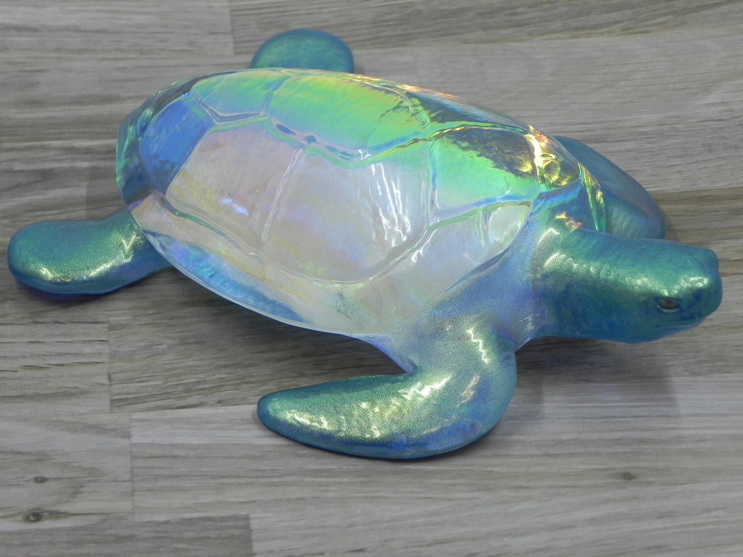 Sea Turtle