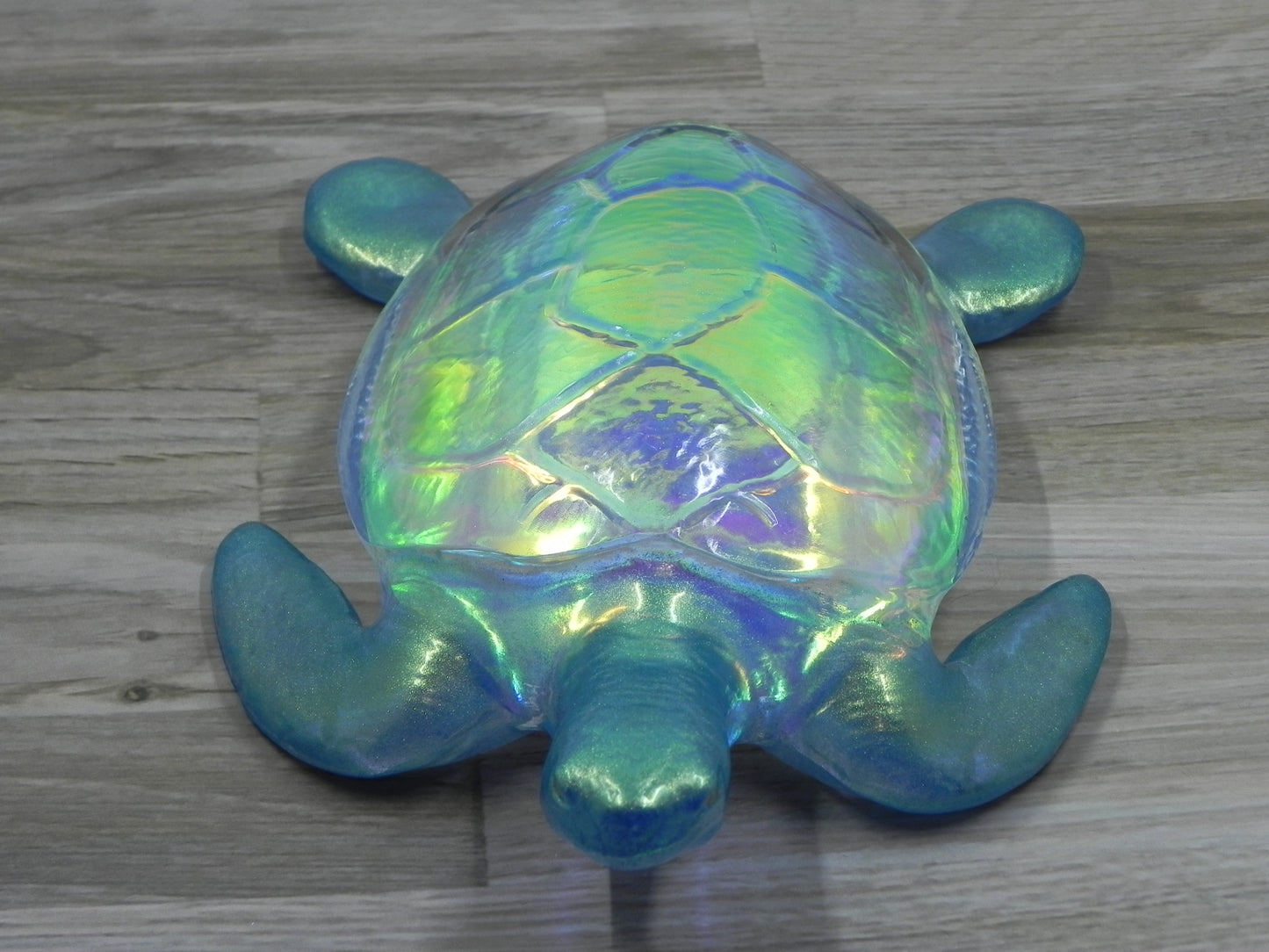 Sea Turtle