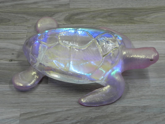 Sea Turtle