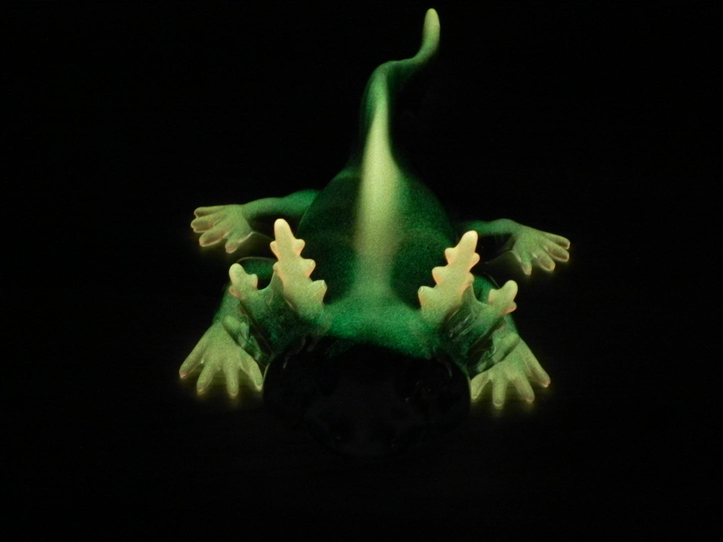 Axolotl Glow Tip Orange