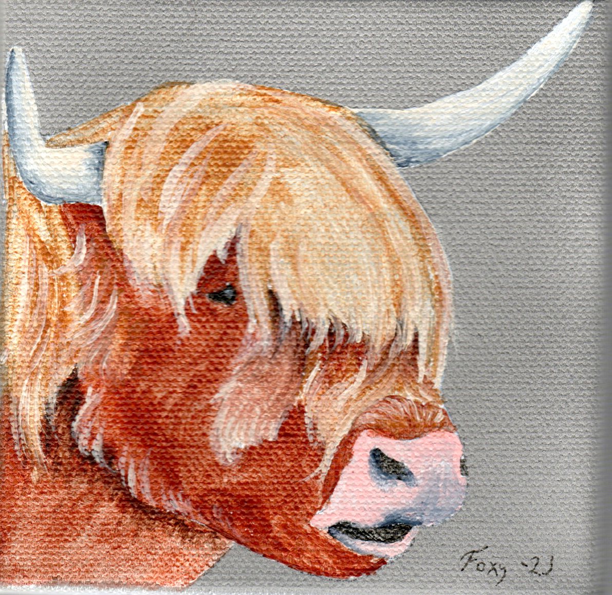 "Highland Cow" mini acrylic painting