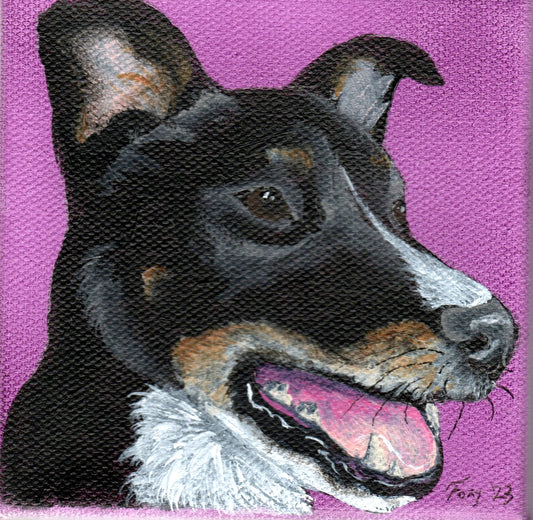 "Mixed breed dog" mini acrylic painting