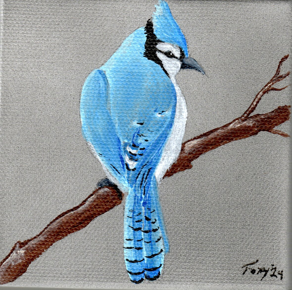 "Blue Jay" mini acrylic painting