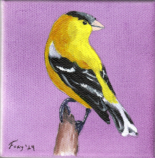 "Goldfinch" mini acrylic painting