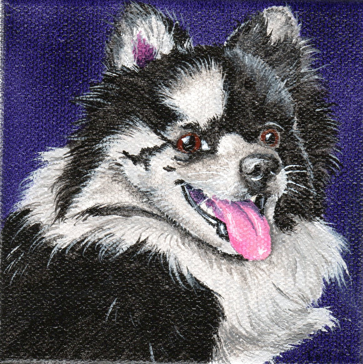 Custom 4x4 Portrait--Single Pet