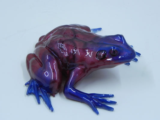 Frog Large sized