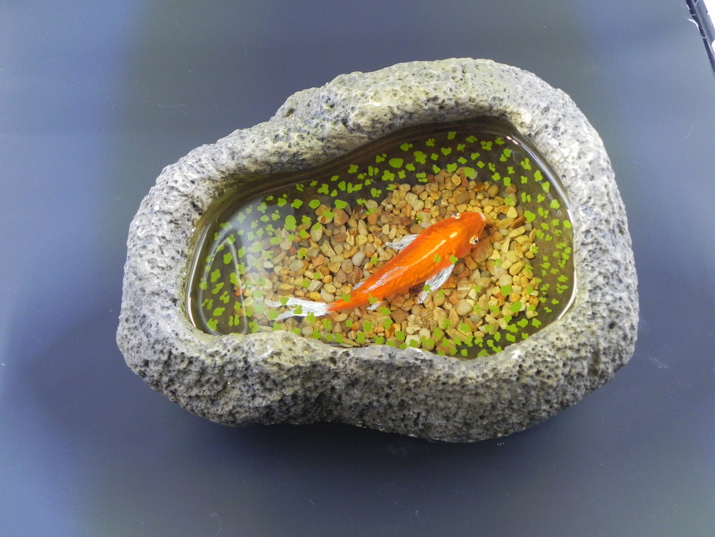 "Goldfish in a rock pond" 3D layered resin