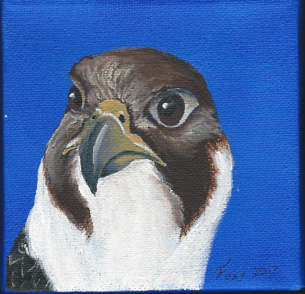 "Peregrine Falcon" mini acrylic painting