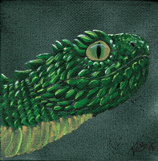 "Green Horned Viper" mini acrylic painting