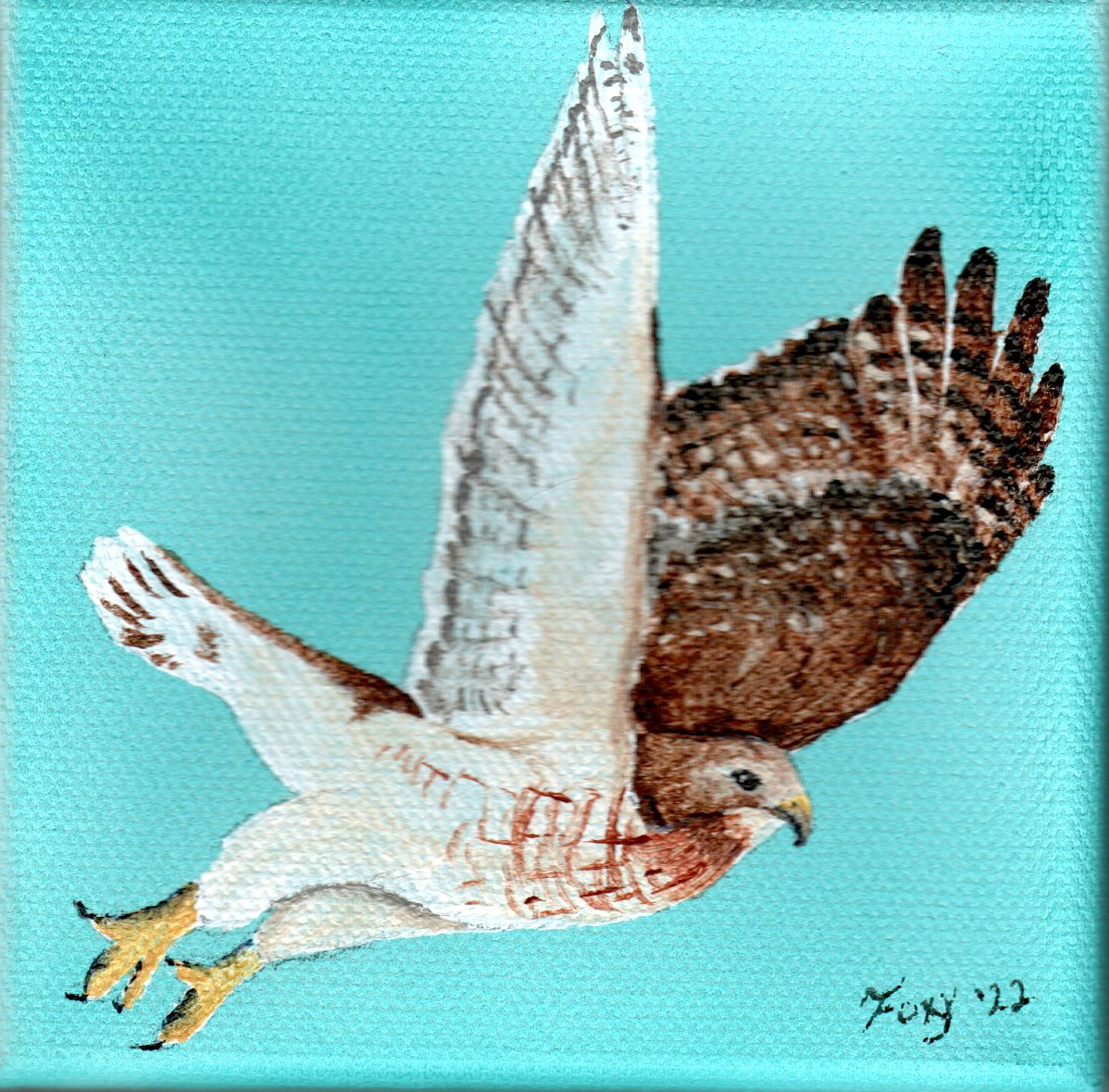 "Hawk" mini acrylic painting
