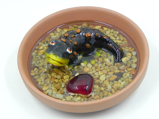 "Salamander black" resin plate