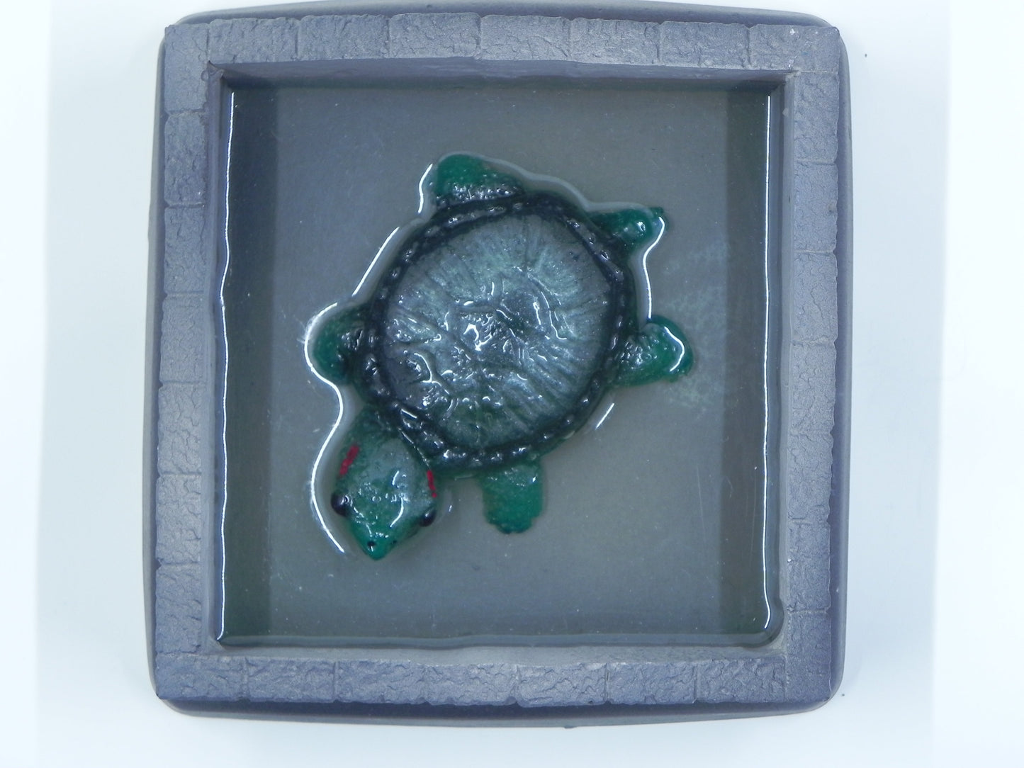 "Turtle in stone walled pond"