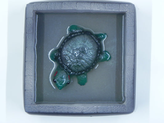 "Turtle in stone walled pond"