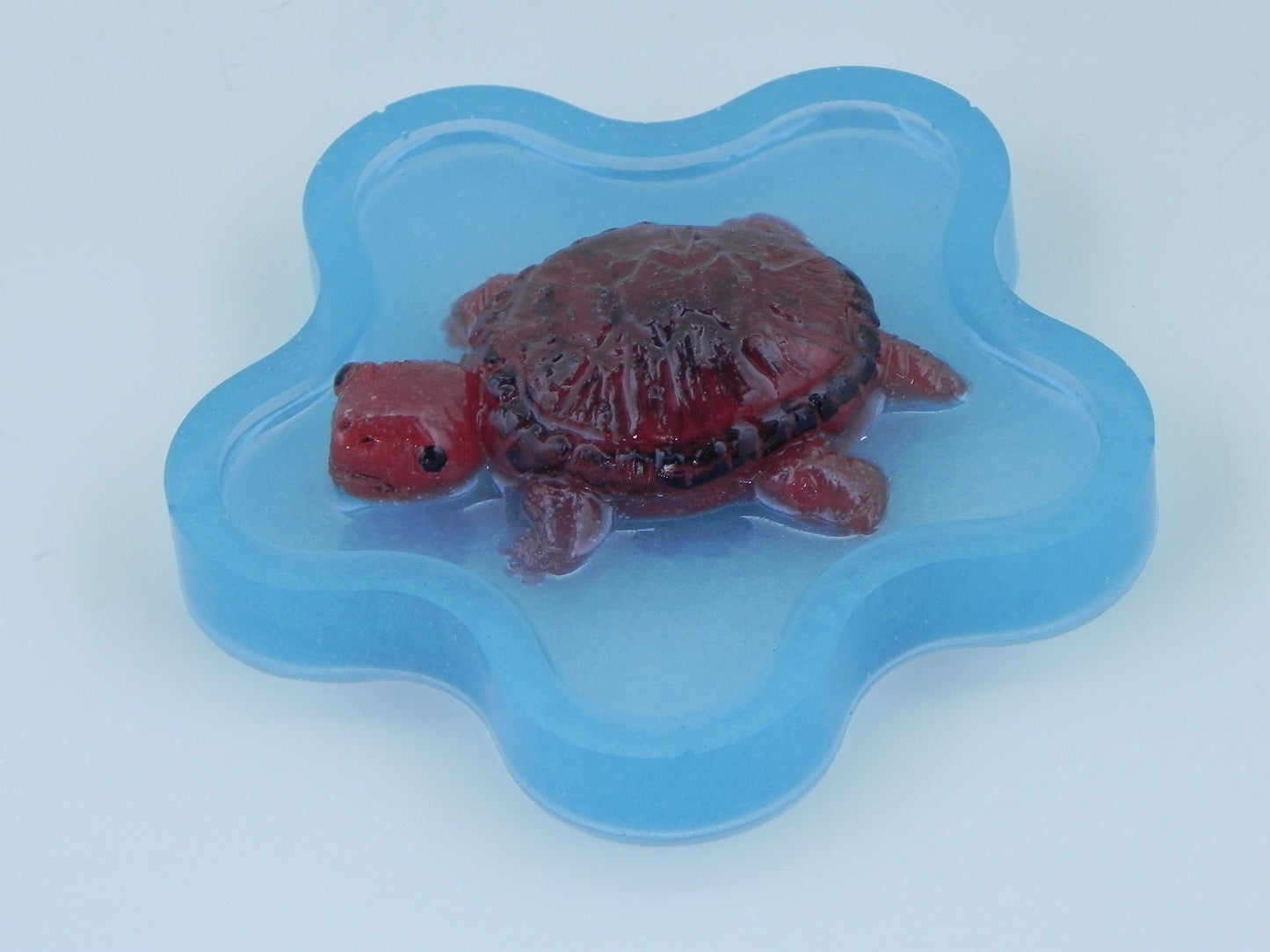 "Turtle in resin dish"