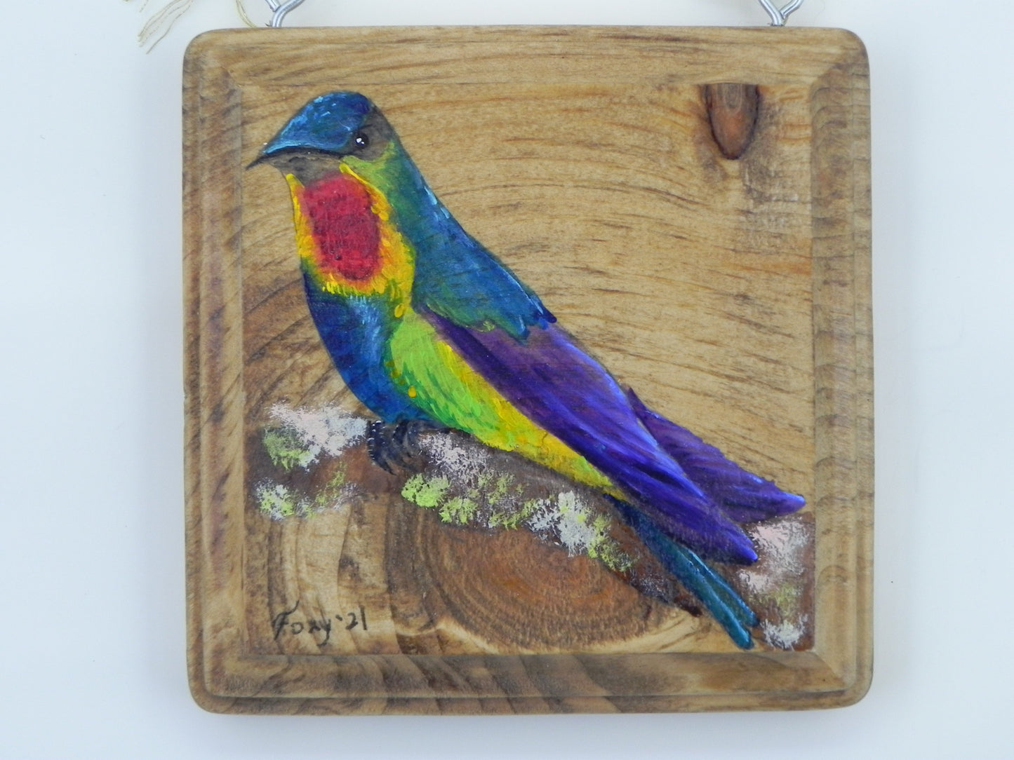 "Rainbow Hummingbird" mini wood plaque