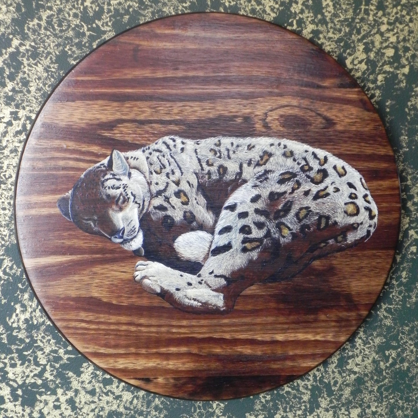 "Upon a Winter's Nap" wood plaque